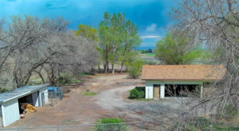 447 Highway 14A Garland #46