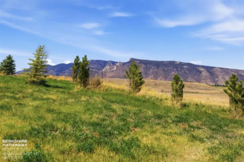 15 Ridge View Tr Cody #66