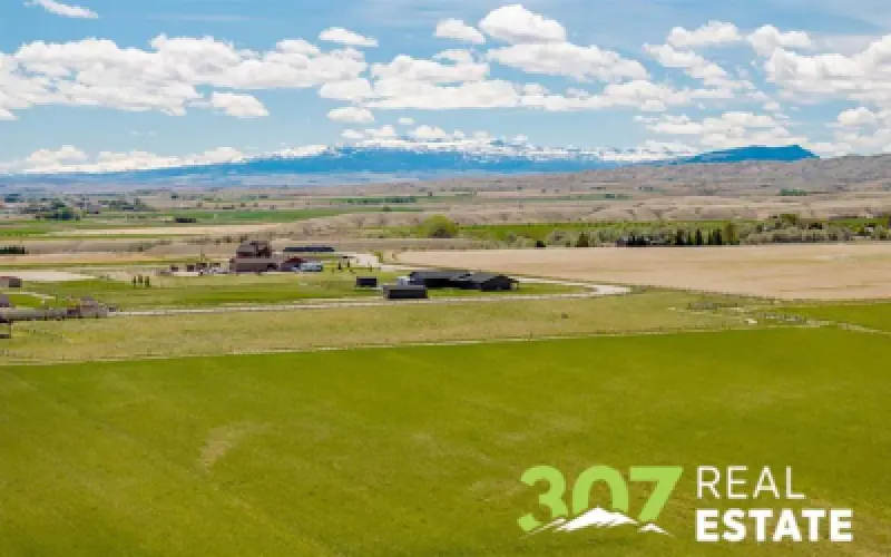 TBD Stone Sheep Circle Powell #19