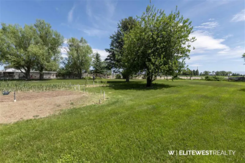 807 Road 8 1/2 Powell #98