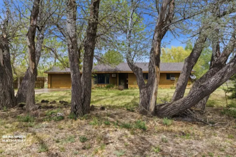 121 Buena Vista Ave Cody #2