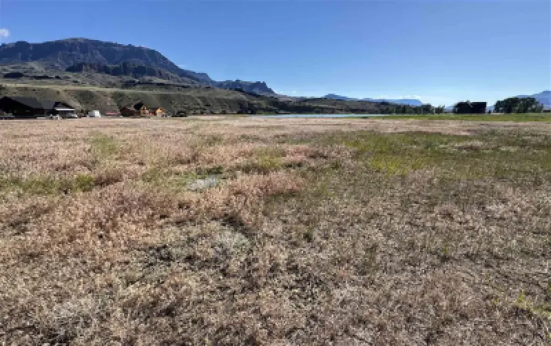 81 Big Creek Dr Wapiti #9