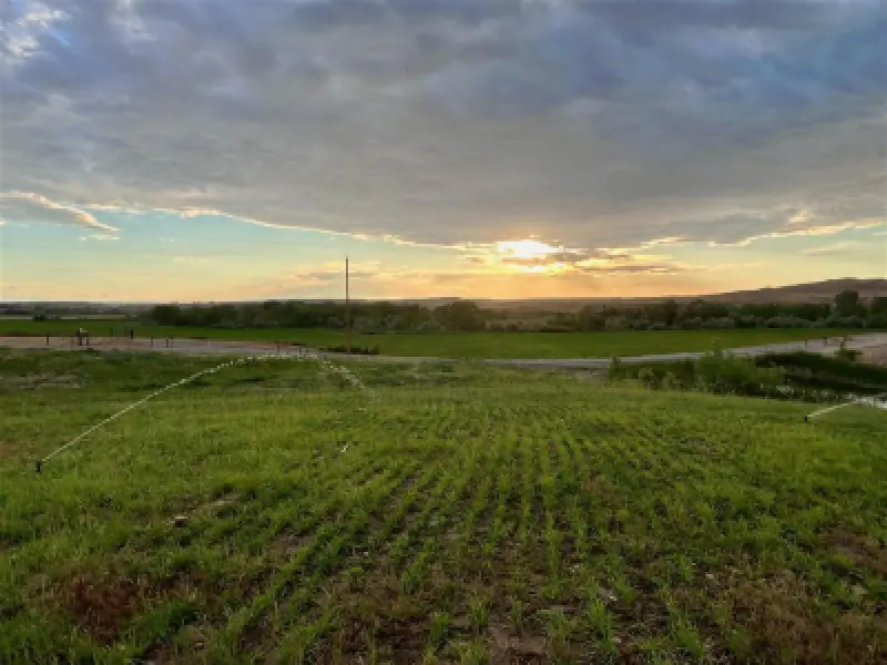2822 Lane 33 1/2 Greybull #68