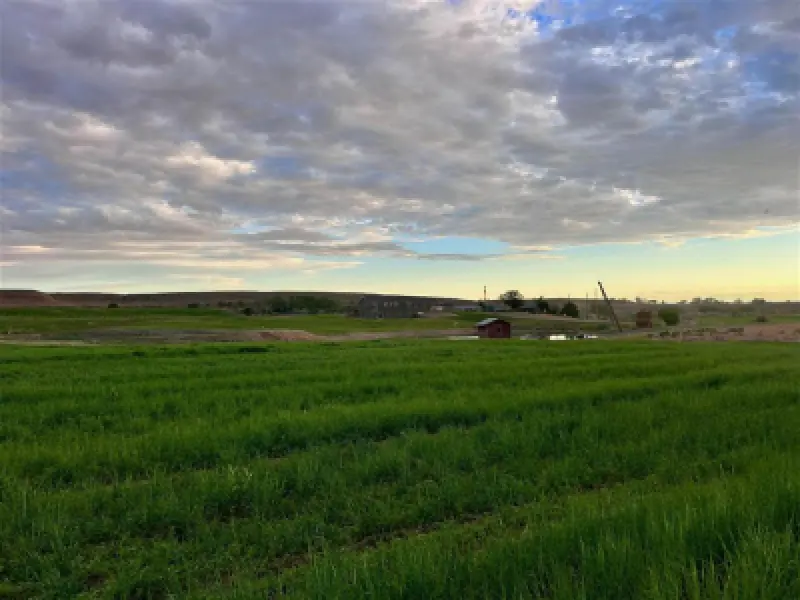 2822 Lane 33 1/2 Greybull #81