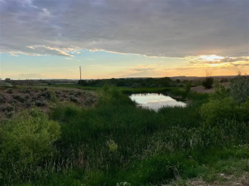 2822 Lane 33 1/2 Greybull #84