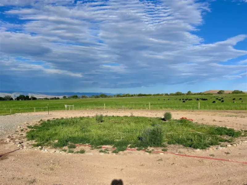 2822 Lane 33 1/2 Greybull #87