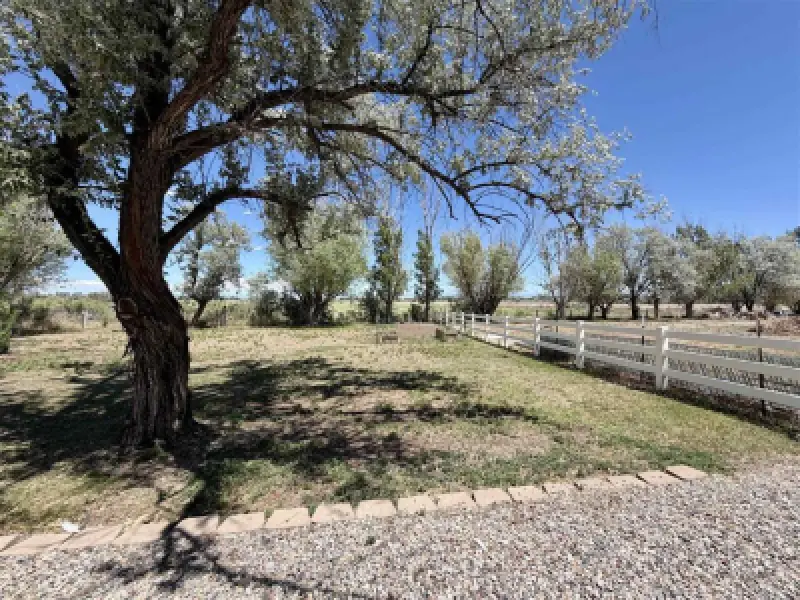 1100 Lane 15 Worland #25