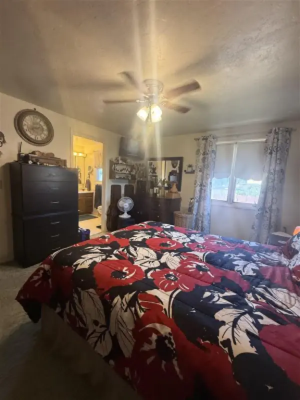 202 Division St Cowley #19