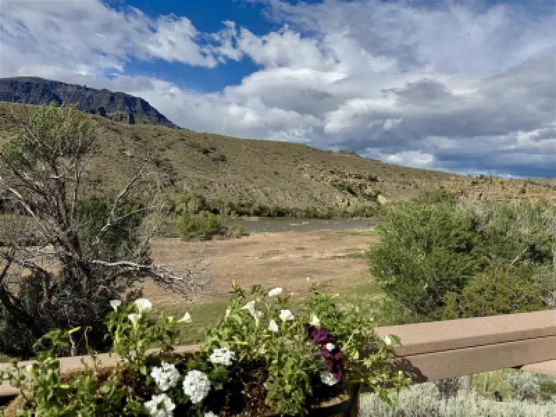21 Ptarmigan View Dr Cody #1