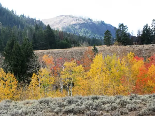 well diversified landscape in cody wyoming