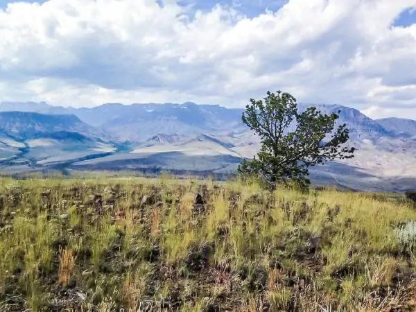 common mistakes to avoid when buying land in wyoming | canyon real estate