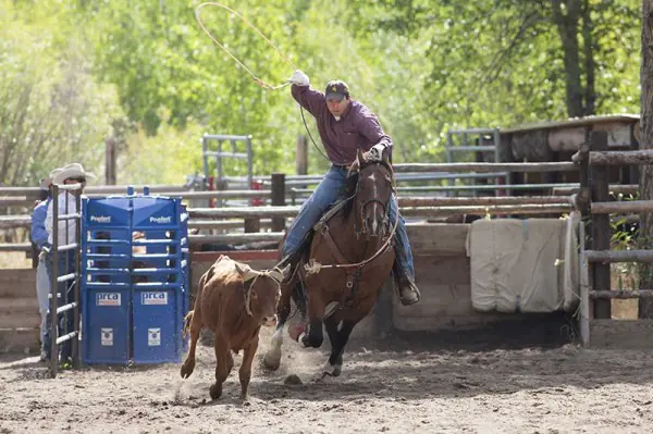 Lance Bower in action rodeo