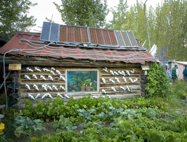 off grid home with solar panels on the roof and vegetables growing