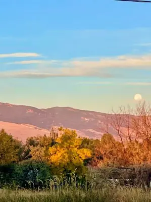 Southfork View