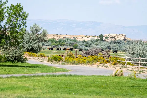 overhead of Shoshone River on a wyoming river ranch for sale | The Kremer Ranch in Powell Wyoming