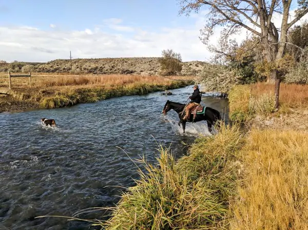  a cattle ranch worker crossing the shoshone river | The Kremer Ranch in Powell Wyoming