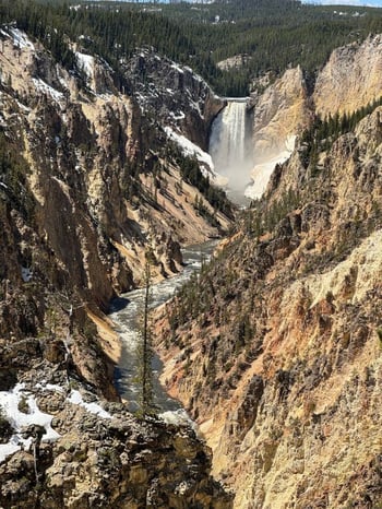 Grand Canyon of Yellowstone