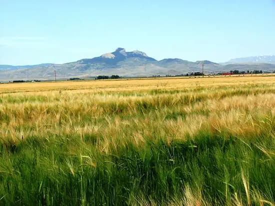 Picture of homes in Powell, Wyoming