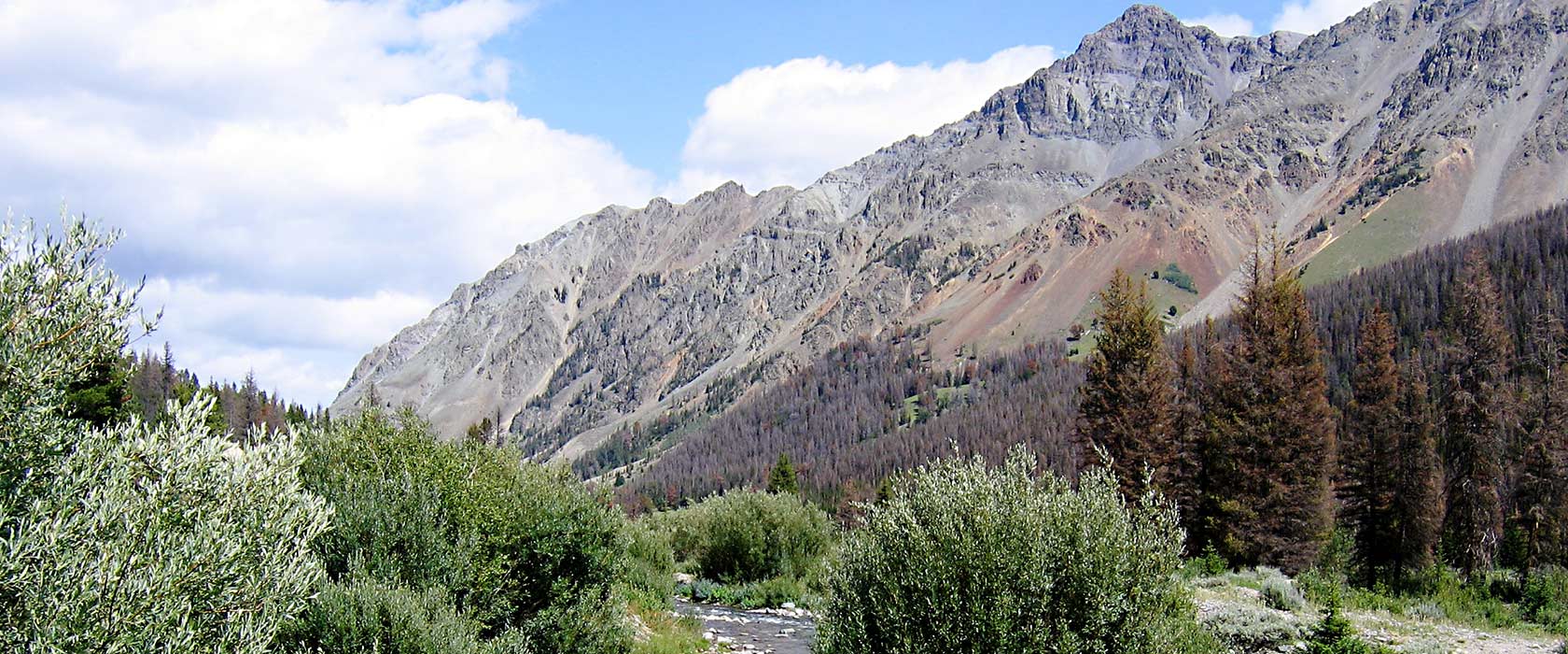 Welcome to wyoming real estate homes ranches land and property for sale