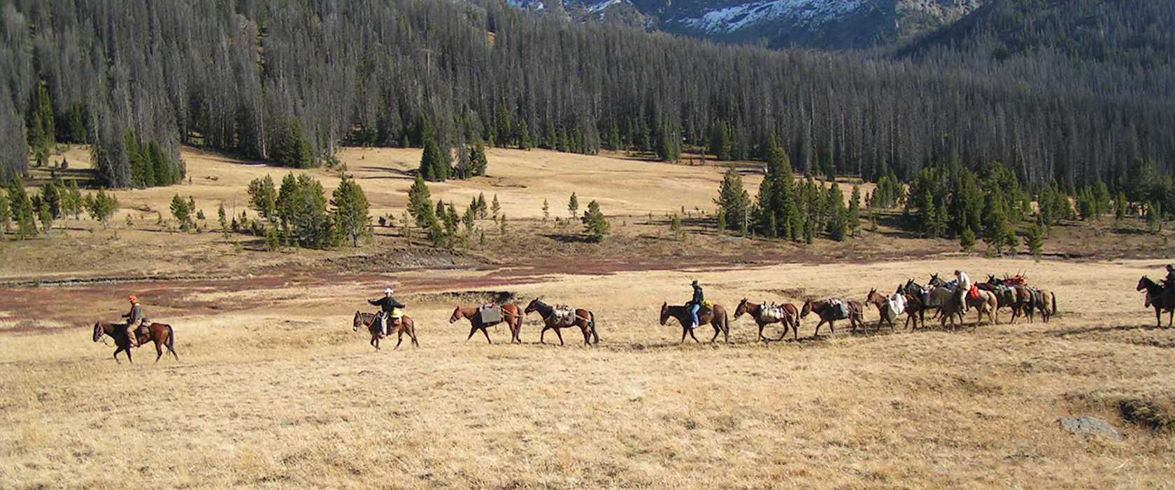 ranch real estate, WY/ranch real estate for sale