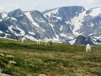 Wyoming Land for Sale