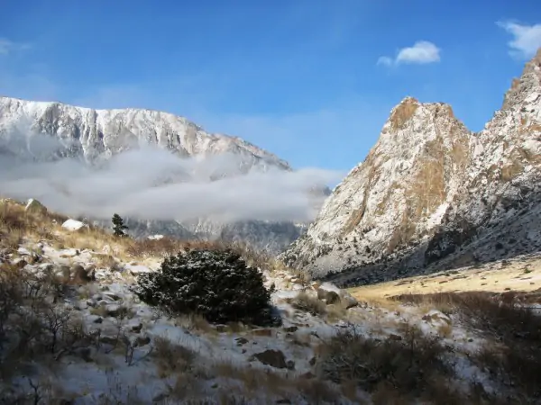 wyoming real estate