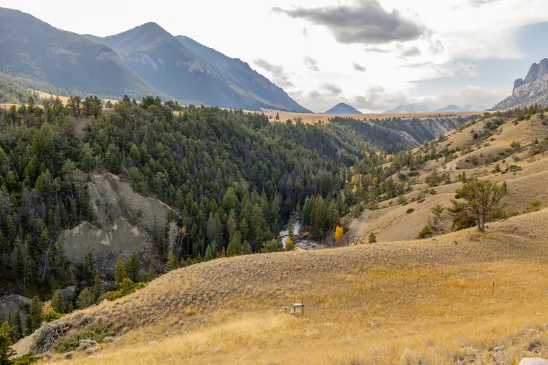 LAND FOR SALE BORDERING NATIONAL FOREST CODY WYOMING #2