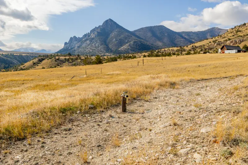 LAND FOR SALE BORDERING NATIONAL FOREST CODY WYOMING #3