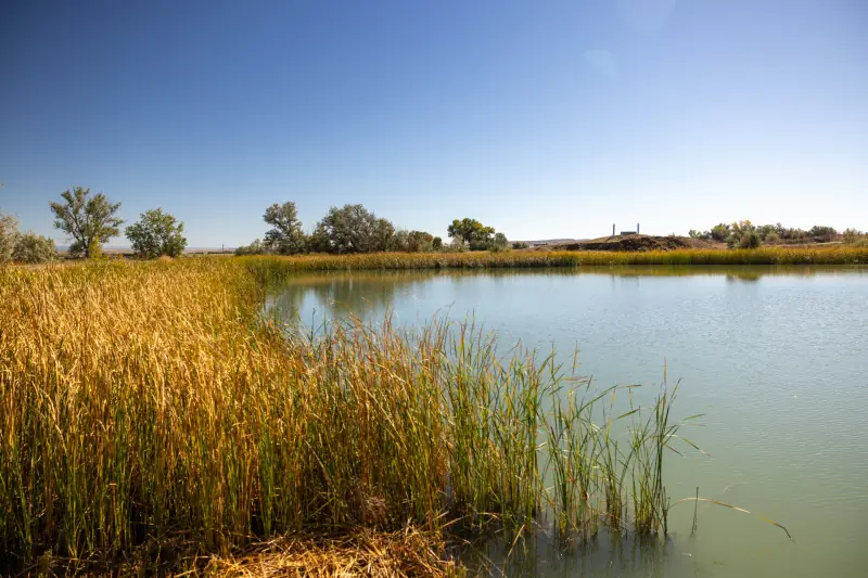 WYOMING HOBBY FARM BASIN WYOMING #75