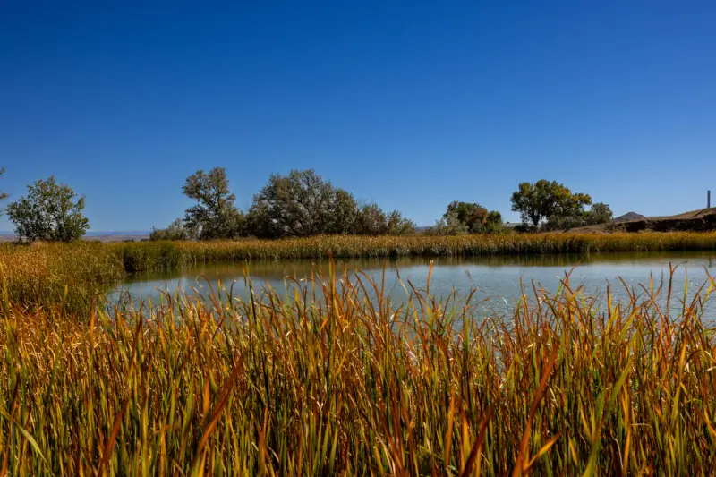WYOMING HOBBY FARM BASIN WYOMING #77