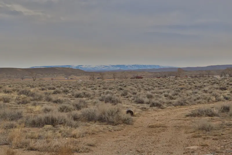 MOUNTAIN VIEW HOME ON 35 ACRES | CLARK, WY #22