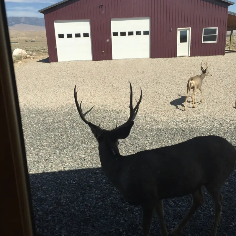 MOUNTAIN VIEW HOME ON 35 ACRES | CLARK, WY #30