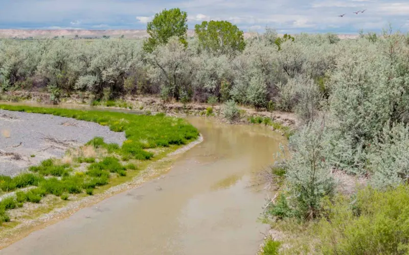 GREYBULL RIVER FARM #7