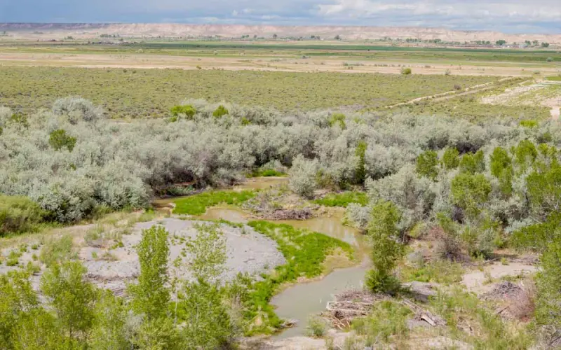 GREYBULL RIVER FARM #24