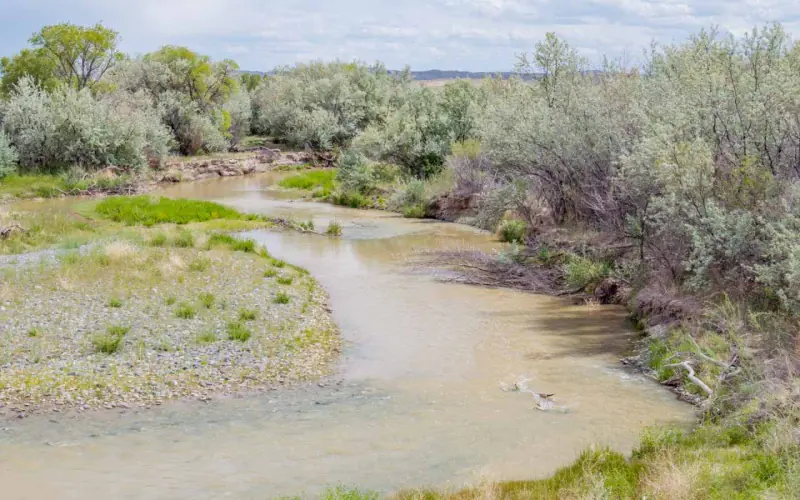 GREYBULL RIVER FARM #34