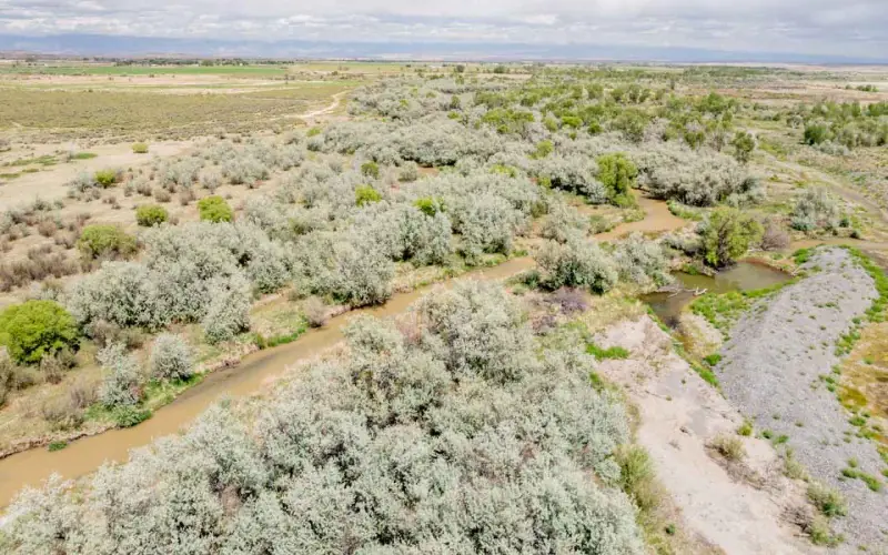 GREYBULL RIVER FARM #35