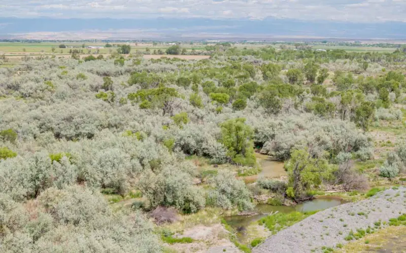 GREYBULL RIVER FARM #36