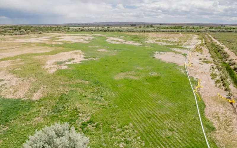 GREYBULL RIVER FARM #39