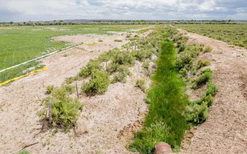 GREYBULL RIVER FARM #41