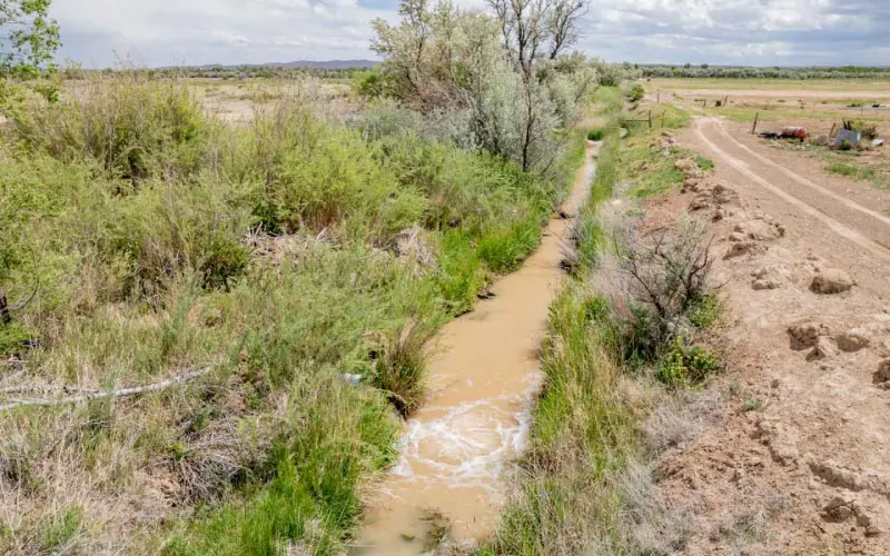 GREYBULL RIVER FARM #44
