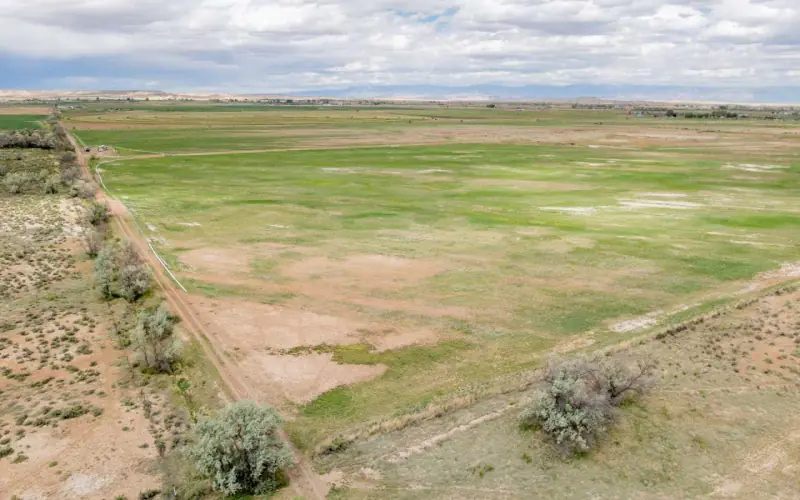 GREYBULL RIVER FARM #55