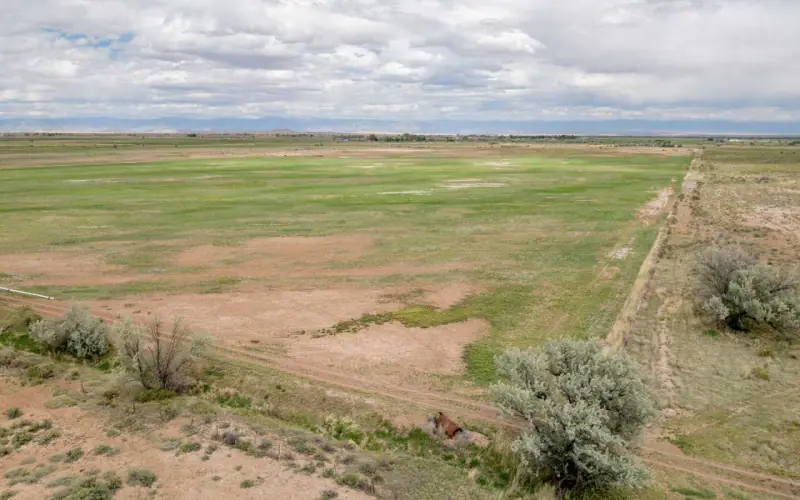 GREYBULL RIVER FARM #56