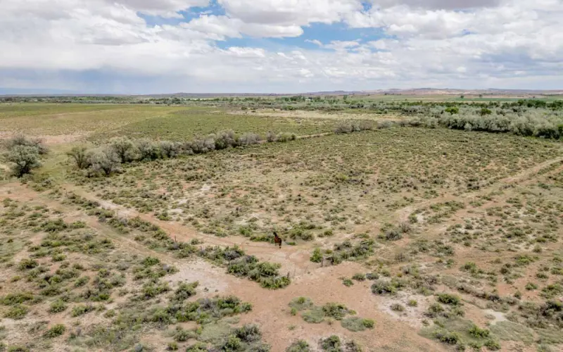 GREYBULL RIVER FARM #57