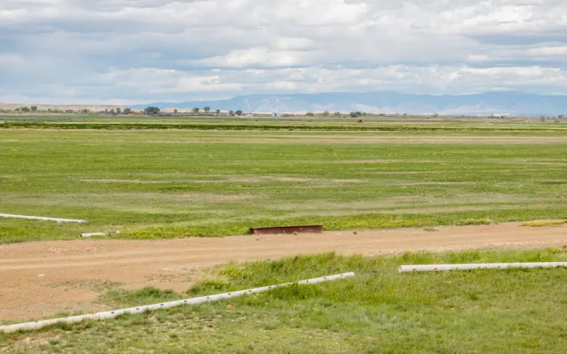 GREYBULL RIVER FARM #61