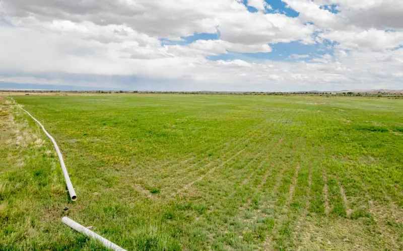 GREYBULL RIVER FARM #62