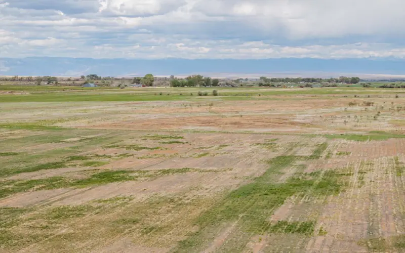 GREYBULL RIVER FARM #63