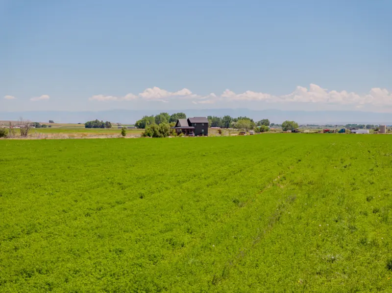 CREEKSIDE HOME POWELL WYOMING #67
