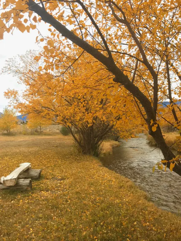 CLARK WYOMING HOME WITH CREEK FRONTAGE #63