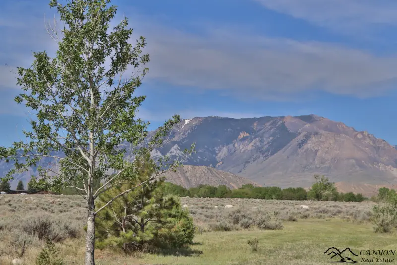 CLARK WYOMING HOME WITH CREEK FRONTAGE #55