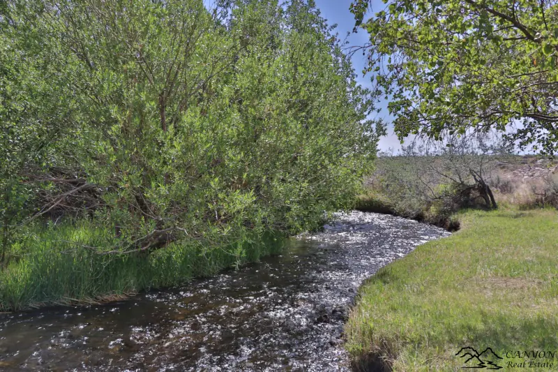 CLARK WYOMING HOME WITH CREEK FRONTAGE #56